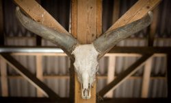 Lorem ipsum dolor sit