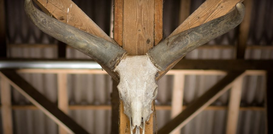 Lorem ipsum dolor sit